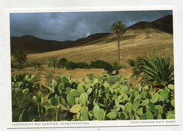 AK 122018 SPAIN - Fuerteventura - Landschaft Mit Kakteen - Fuerteventura