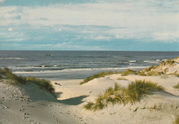 Terschelling, Door De Duinen Naar Zee - Terschelling