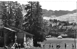 SACHSELN ► Pfadilager Älggialp Mit Stempel "Bergheim Aelggi-Alp" Fotokarte Ca.1960 - Sachseln