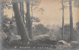 CPA 91 SAINT SULPICE DE FAVIERES / CARTE PHOTO - Saint Sulpice De Favieres