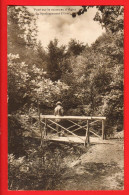 NOGU-04 RARE Pont Sur Le Ruisseau D'Agiez ANIME (Société De Développement D'Orbe). Deriaz 4260  Circ. 1918 - Giez