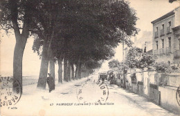 FRANCE - 44 - PAIMBOEUF - Le Quai Eole - Carte Postale Ancienne - Paimboeuf