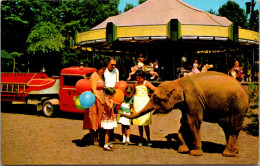 New York Catskills The Catskill Game Farm Children Feeding Baby Elephant - Catskills