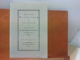 Malerische Wanderung Auf Den Altkönig Und Einen Theil Der Umliegenden Gegend Im Sommer 1802 - Unveränderter Na - Hesse