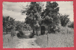 's-Gravenvoeren / Fouron-le-Comte - Chapelle De Steenbosch - 1963 ( Verso Zien ) - Fourons - Vören