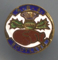 Boxing Box Boxe Pugilato - ABA Scotland, Federation Association, Enamel, Vintage Pin, Badge, Abzeichen - Boxen