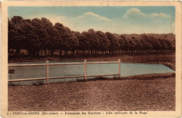 CPA Port-sur-Saone Promenade Des Touristes (1273645) - Port-sur-Saône