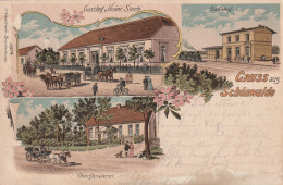 Schönwalde - Litho - 1905 - Gasthof-Bahnhof-Oberförsterei - Schoenwalde