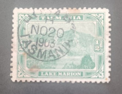 TASMANIA 1905 LAKE MARION CAT GIBBONS N 246 A PERF 11 - Oblitérés