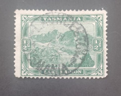 TASMANIA 1905 LAKE MARION CAT GIBBONS N 246 B PERF 12 1/2 - Oblitérés