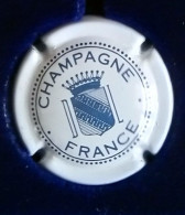 PLAQUE DE MUSELET DE CHAMPAGNE " DUVAL LEROY BLANC ET BLEU " - Duval-Leroy