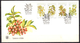 BOPHUTHATSWANA - Fruits FDC - Bophuthatswana