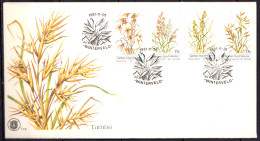 BOPHUTHATSWANA - Herbes Indigènes 1981 FDC - Bophuthatswana