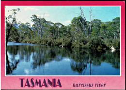 Narcissus River, Cradle Mountain/Lake St. Clair National Park, Tasmania - Unused - Wilderness