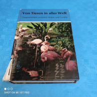 Von Tieren In Aller Welt - Tierwelt