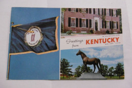 Kentucky - The Blue Grass State Is The Kingdom - Lexington - Lexington