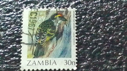 ZAMBİYA-  1987     30N  BİRDS   USED - Gebraucht