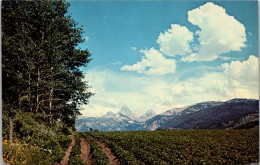 Idaho Farming Typical Potato Field - Sonstige & Ohne Zuordnung