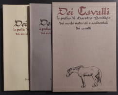 Dei Cavalli - Pratica Maestro Bonifacio Morbi Cavalli - Ed. Nardini - 1988 - Tiere