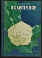 Il Cavolfiore - F. Zago - Ed. REDA - 1934 - Giardinaggio