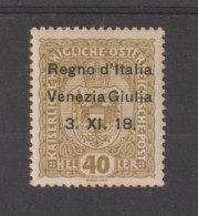 VENEZIA GIULIA - OCC. AUSTRIACA:1918  SOPRAST. -  40 H. OLIVA  L. -  4 SIGLE  TRA  CUI  A. DIENA+A.BOLAFFI  -  SASS. 10 - Venezia Giulia