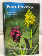 Flora Helvetica. Flora Der Schweiz, Flore De La Suisse, Flora Della Svizzera. - Nature