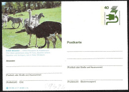 Germania/Germany/Allemagne: Intero, Stationery, Entier, Struzzo, Ostrich, Autruche - Straussen- Und Laufvögel