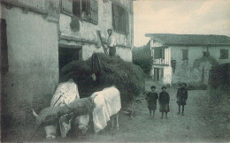 AGRICULTURE - Attelage - Pays Basque - Rentrée Des Foins Au Vieux Cambo - Carte Postale Ancienne - Teams