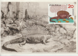 Pologne Carte Maximum 1965 Animaux Préhistoriques 1423 - Maximum Cards