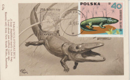 Pologne Carte Maximum 1966 Animaux Préhistoriques 1508 - Maximum Cards