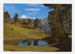 AK 124425 SWITZERLAND - Arvenwald Von Juata Mit Blick Auf Ortlergruppe - Val Müstair - Val Müstair