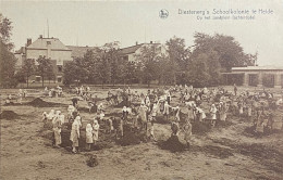 Diesterweg’s Schoolkolonie Te Heide. Op Het Zand-Leon - Kalmthout