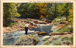 Tennessee Trout Fishing In The Great Smoky Mountains National Park Curteich - Smokey Mountains
