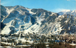 Colorado Aspen Panoramic View 1960 - Rocky Mountains