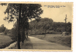 Carte Postale. SAINT LEGER. La Route De Virton. - Saint-Leger