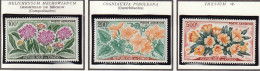 CONGO - Fleurs, Immortelle, Cogniauxia Podoleana, Thesium - PA 2-4 - 1961 - MNH - Ongebruikt