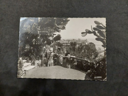 Cartolina 1952  Principato Di Monaco. Le Rocher E Il Giardino Esotico. Condizioni Eccellenti. Viaggiata. - Exotischer Garten