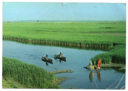 BANGLADESH - THE GREEN, GREEN FIELDS - Bangladesh