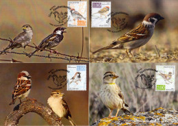 BULGARIA 2017, FAUNA, MAXIMUM-CARDS With SPARROWS From BULGARIA, VERY RARE(ONLY 10 UNITS), GOOD QUALITY - Gebruikt