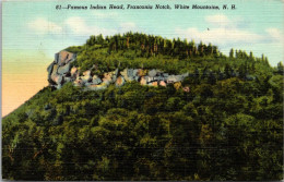 New Hampshire White Mountains Franconia Notch The Famous Indian Head 1947 Curteich - White Mountains