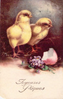 Pâques - Illustration De Poussins Et œufs - Cartes Postales Anciennes - Pâques