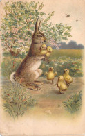 Pâques - Illustration Poussins Dans Les Pattes D'un Lapin - Cartes Postales Anciennes - Pâques