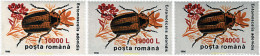 62554 MNH RUMANIA 2000 INSECTOS - Araignées