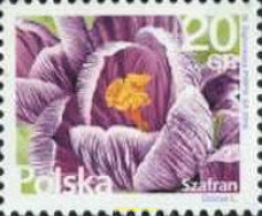 364372 MNH POLONIA 2016 FLORES - Andere & Zonder Classificatie