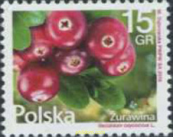 370858 MNH POLONIA 2016 - Andere & Zonder Classificatie