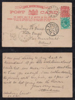 New South Wales Australia 1905 Uprated Stationery Postcard URALLA X MAASTRICHT Netherlands - Lettres & Documents