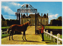 ORNE - Haras Du Pin - Carmathen - Etalon Pur Sang Anglais - Chevaux - Exmes