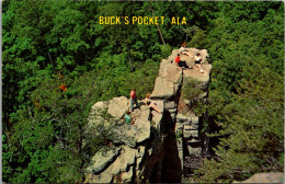 Alabama DeKalb County Grove Oak Buck's Pocket - Other & Unclassified