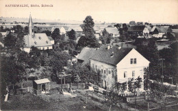 SUISSE - Rathewalde - Sächs - Schweiz - Carte Postale Ancienne - Wald