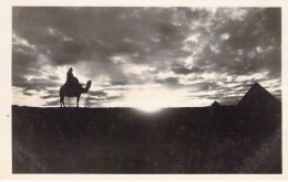 EGYPTE - Sunset At Giza - Couché De Soleil - Carte Postale Ancienne - Gizeh